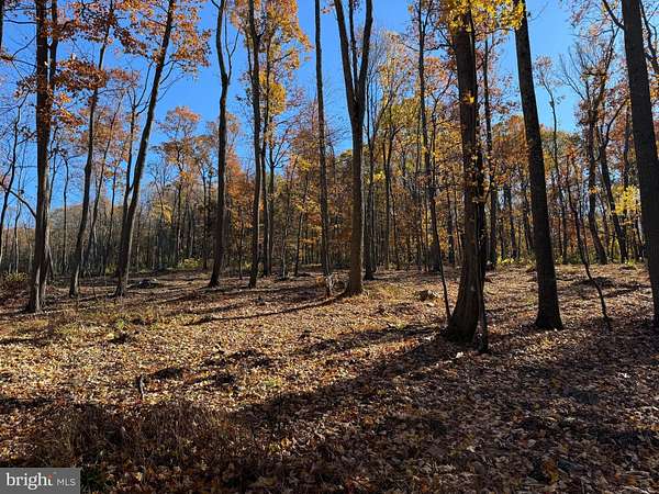 2.53 Acres of Residential Land for Sale in Hillsboro, Virginia