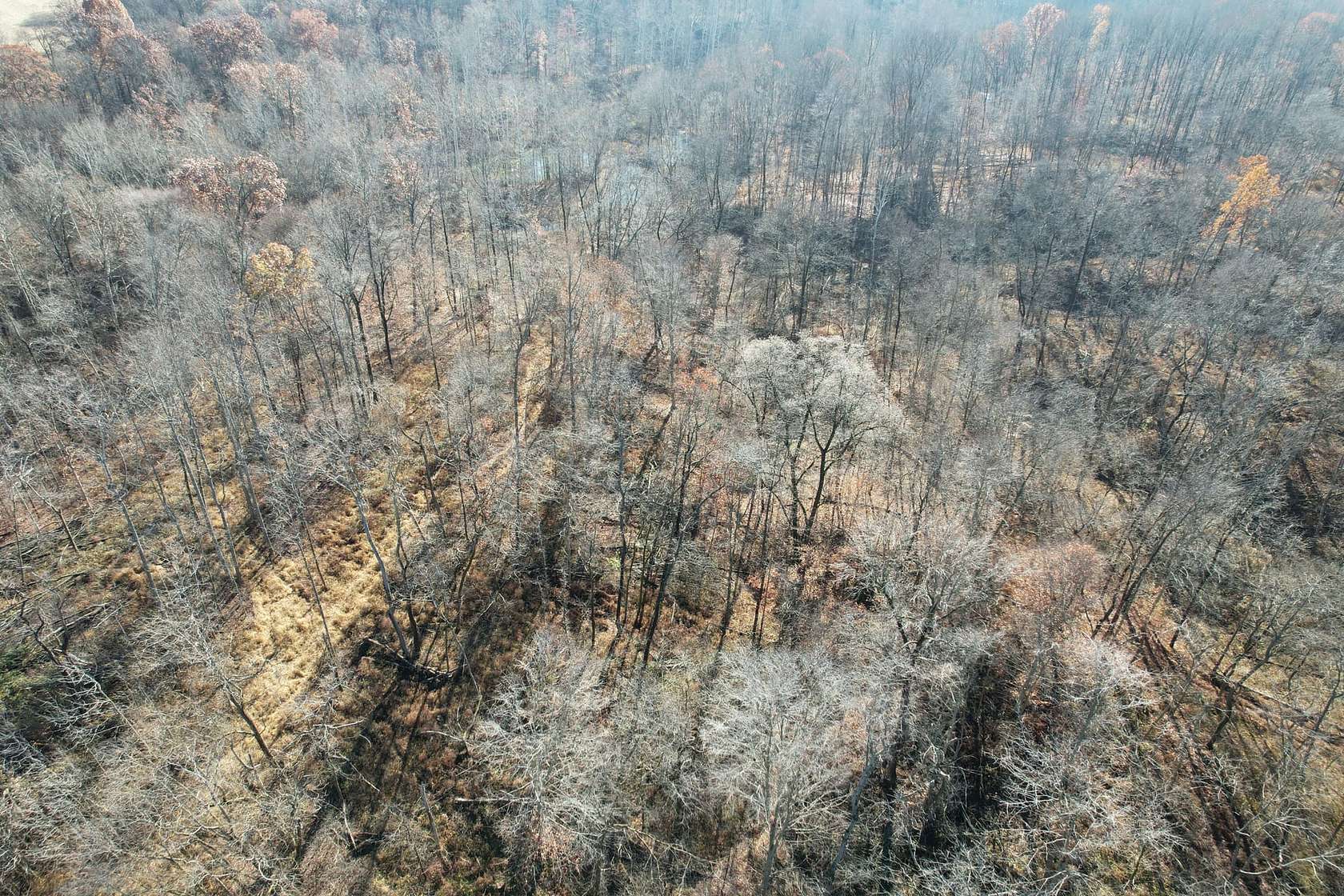 13 Acres of Recreational Land for Sale in Brazil, Indiana