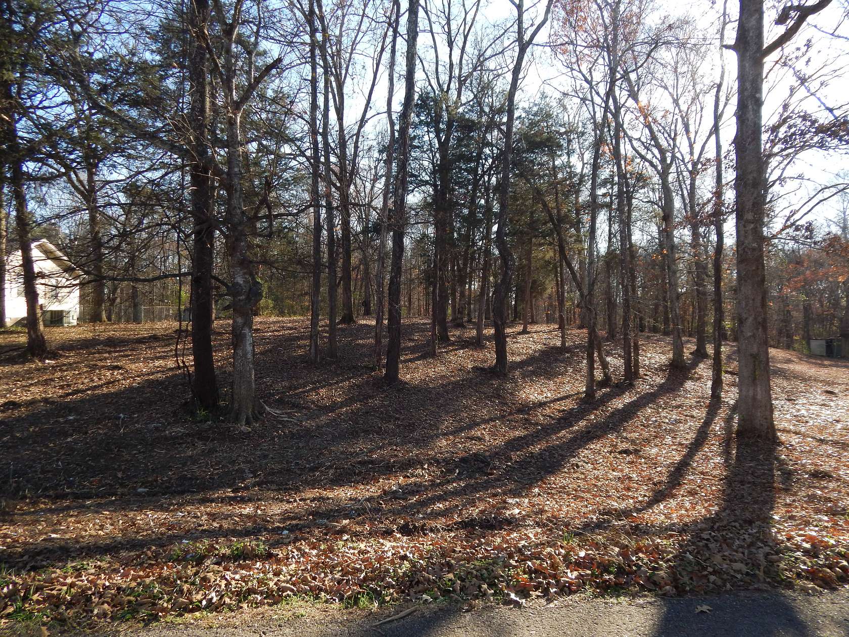0.55 Acres of Residential Land for Sale in Savannah, Tennessee
