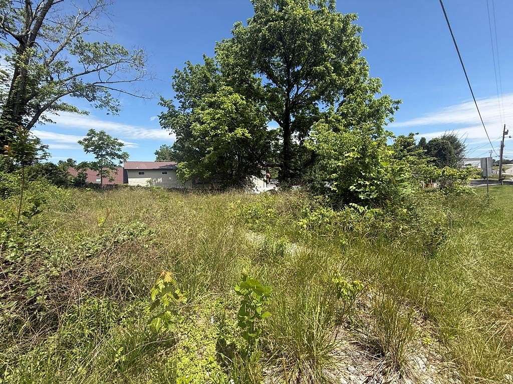 0.12 Acres of Land for Sale in Blue Ridge, Georgia