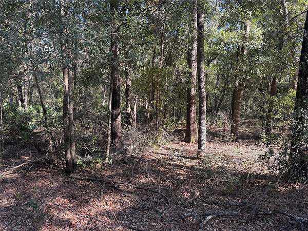 3.28 Acres of Residential Land for Sale in Archer, Florida