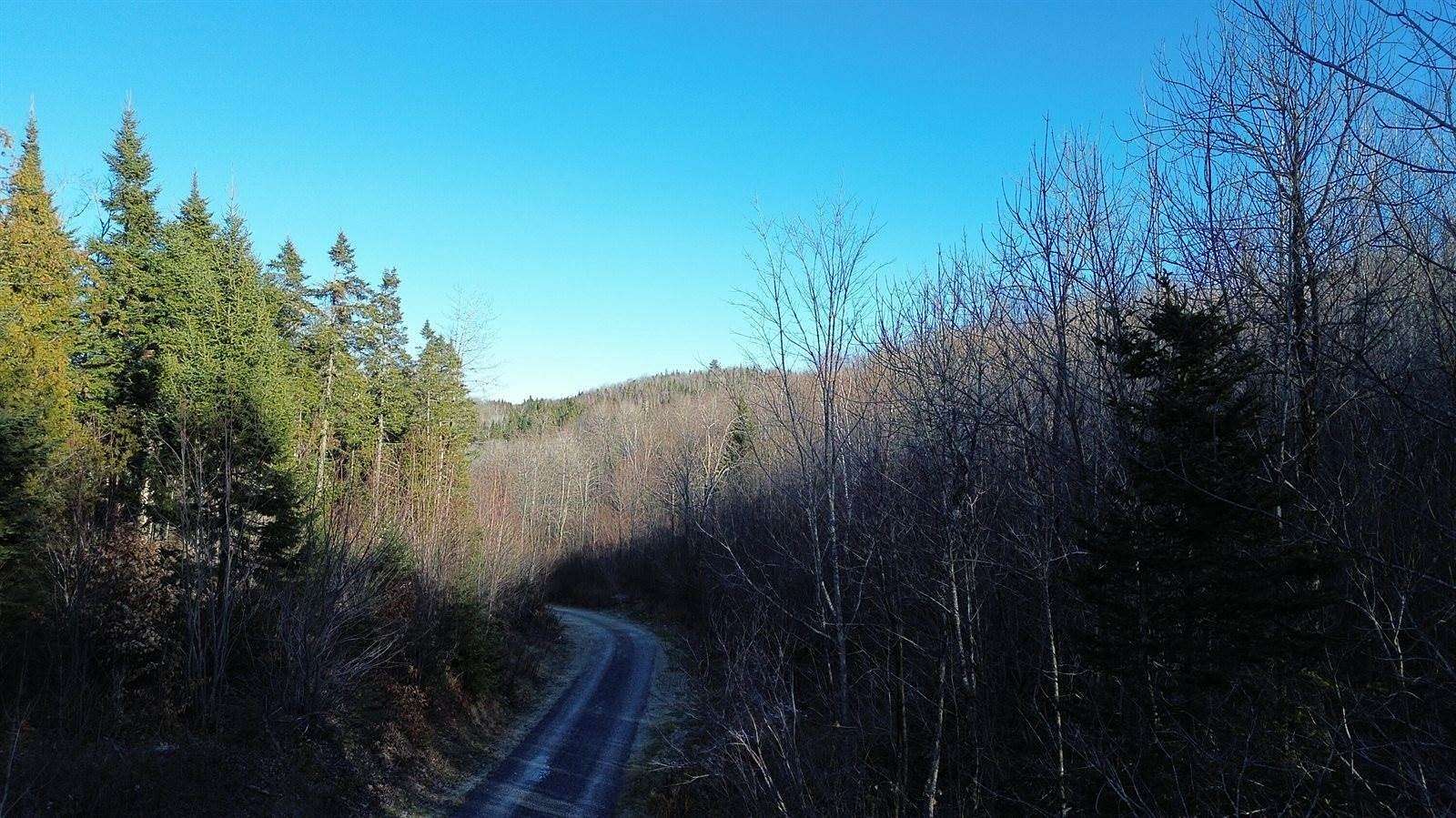 40.4 Acres of Recreational Land for Sale in Frenchville, Maine