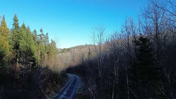 40.4 Acres of Recreational Land for Sale in Frenchville, Maine