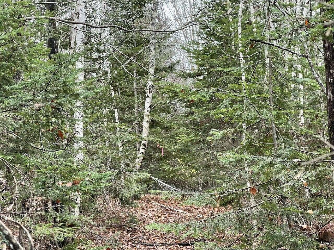 12 Acres of Recreational Land for Sale in Thorndike, Maine