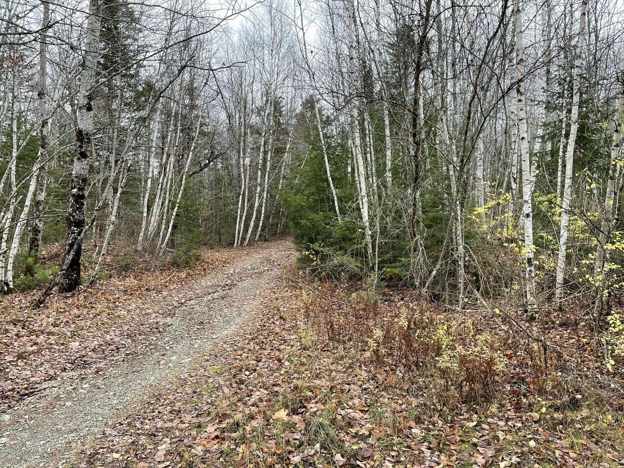 12 Acres of Recreational & Residential Land for Sale in Thorndike, Maine