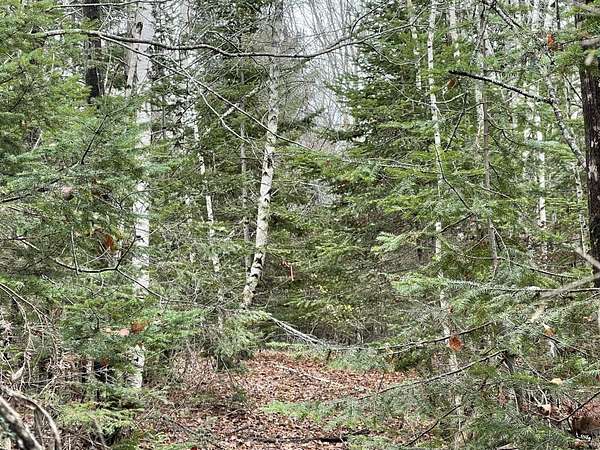 12 Acres of Recreational Land for Sale in Thorndike, Maine