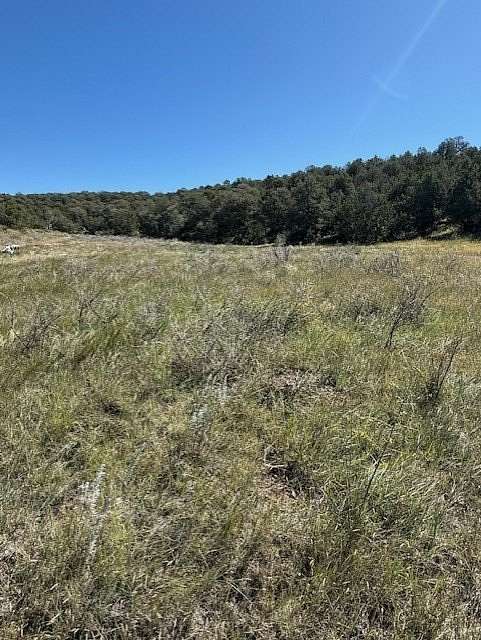 40 Acres of Land for Sale in Edgewood, New Mexico