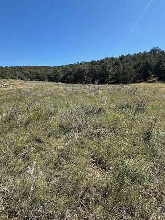 40 Acres of Land for Sale in Edgewood, New Mexico