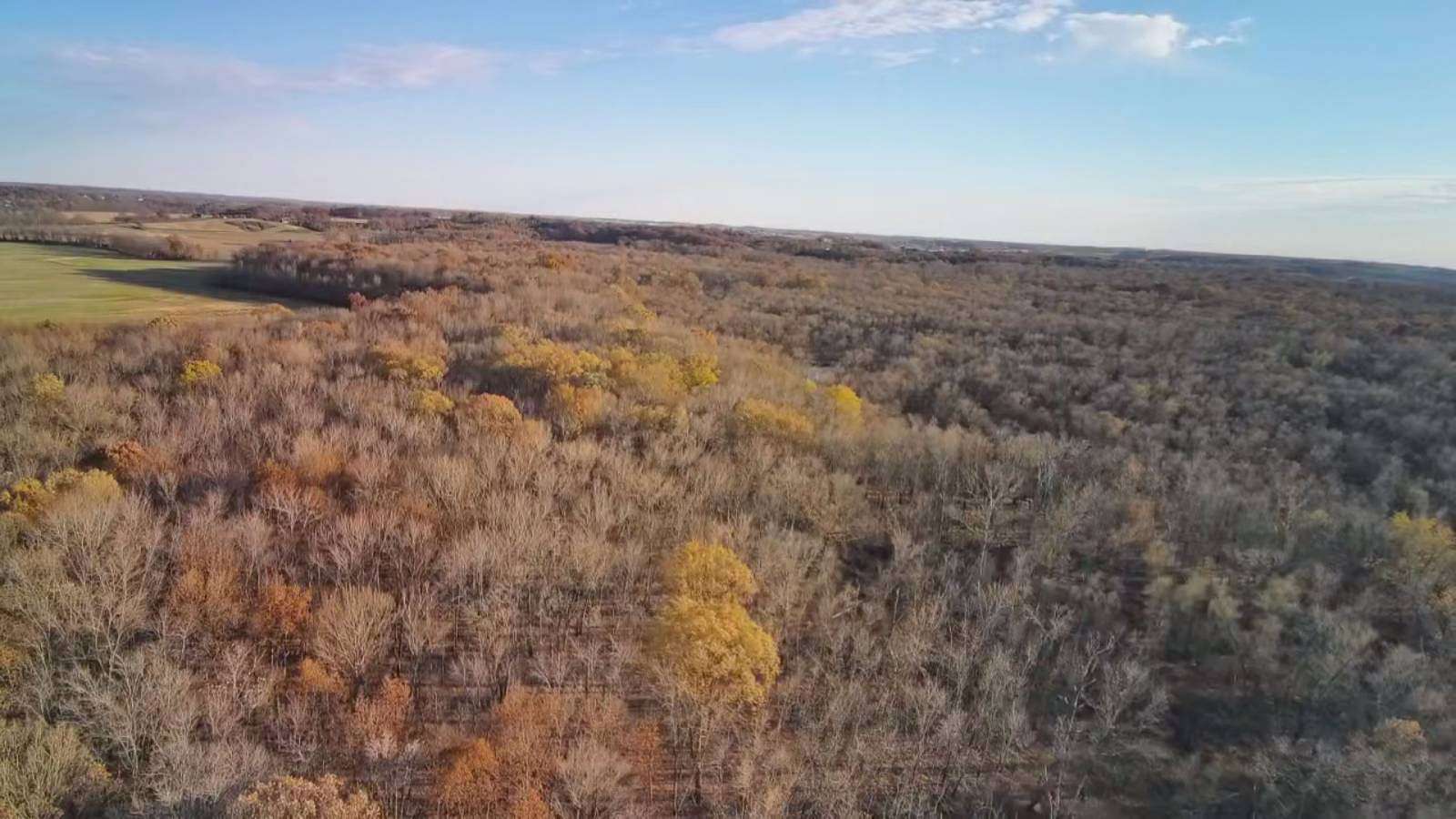 80 Acres of Recreational Land & Farm for Sale in Velpen, Indiana