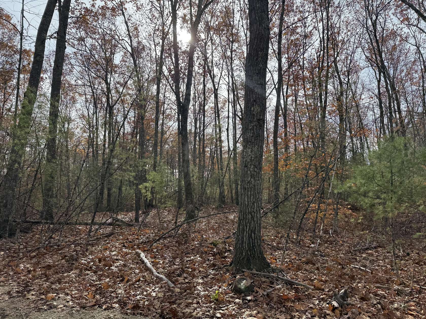 1.39 Acres of Residential Land for Sale in Shapleigh, Maine