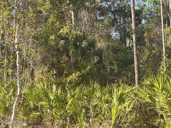 0.26 Acres of Land for Sale in Satsuma, Florida