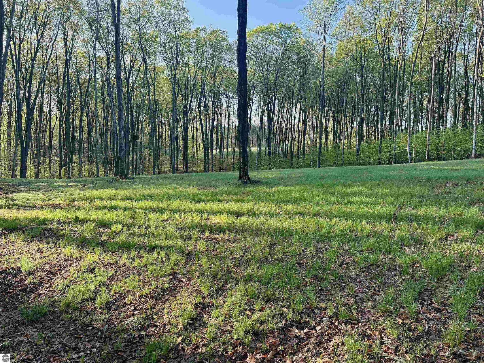 5 Acres of Residential Land for Sale in Maple City, Michigan