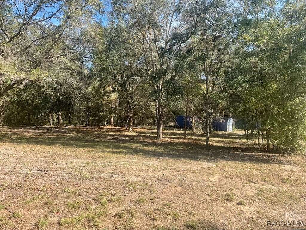 1 Acre of Residential Land for Sale in Floral City, Florida