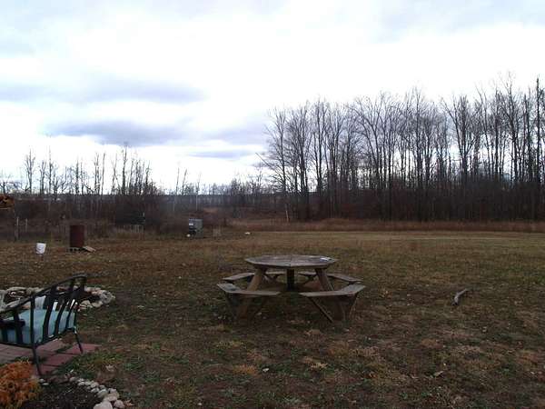 Residential Land for Sale in Alanson, Michigan