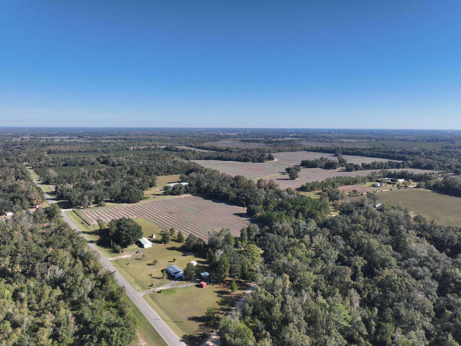 377 Acres of Recreational Land & Farm for Auction in Marianna, Florida