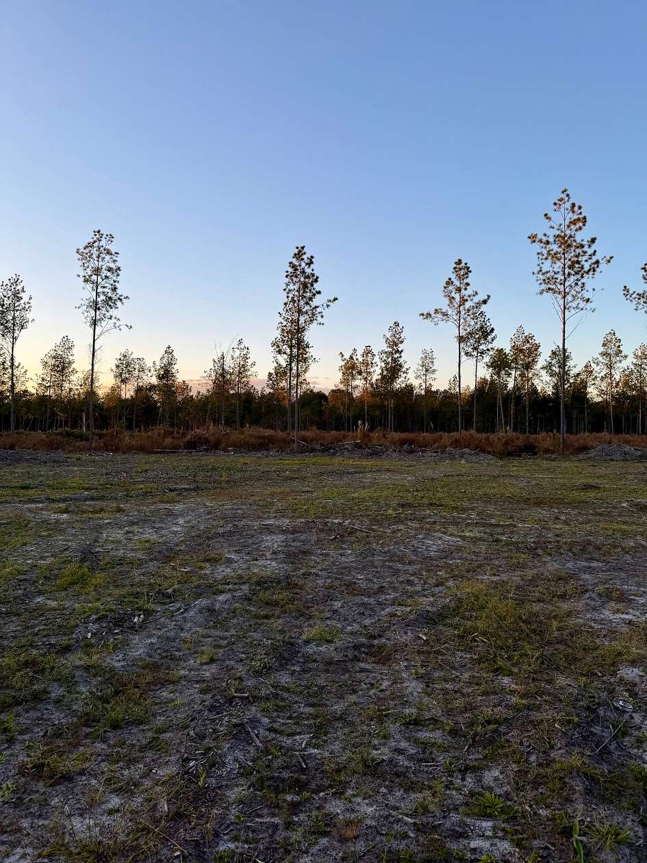 5 Acres of Land for Sale in Early Branch, South Carolina