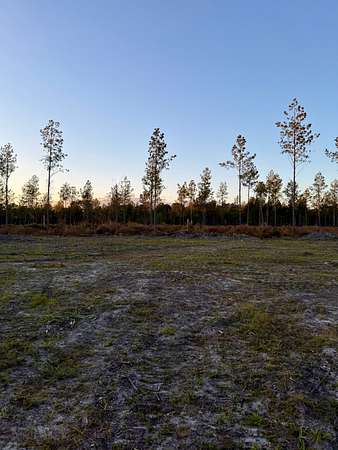 5 Acres of Land for Sale in Early Branch, South Carolina