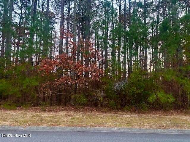 0.66 Acres of Residential Land for Sale in Rocky Mount, North Carolina