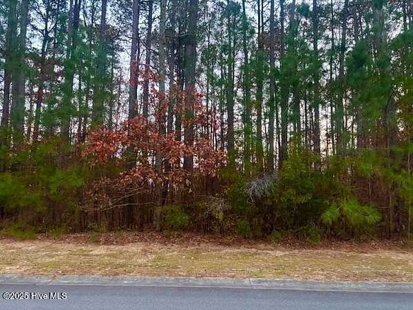 0.66 Acres of Residential Land for Sale in Rocky Mount, North Carolina