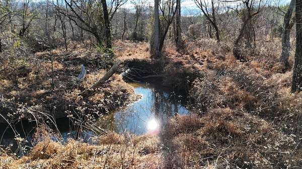 13.3 Acres of Land for Sale in Roxboro, North Carolina