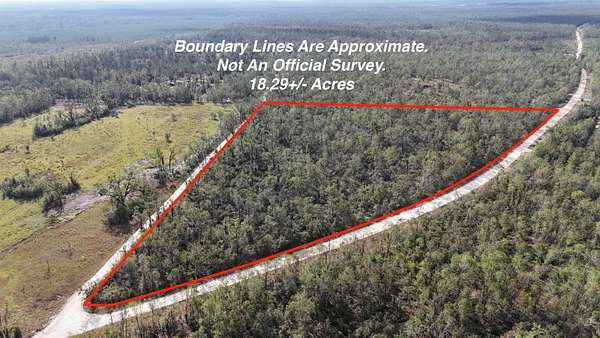 18.3 Acres of Recreational Land for Sale in Lee, Florida