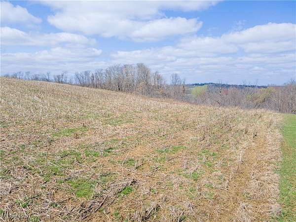5.5 Acres of Residential Land for Sale in New Concord, Ohio