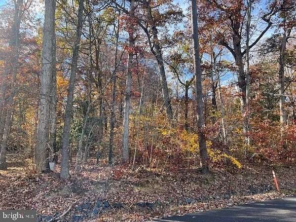 0.31 Acres of Residential Land for Sale in Locust Grove, Virginia