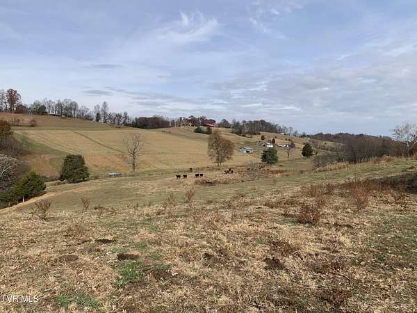 17 Acres of Land with Home for Sale in Telford, Tennessee