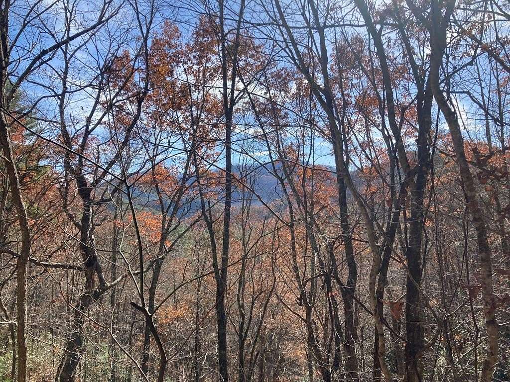 9.29 Acres of Residential Land for Sale in Almond, North Carolina