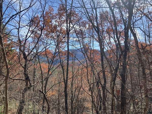 9.29 Acres of Residential Land for Sale in Almond, North Carolina