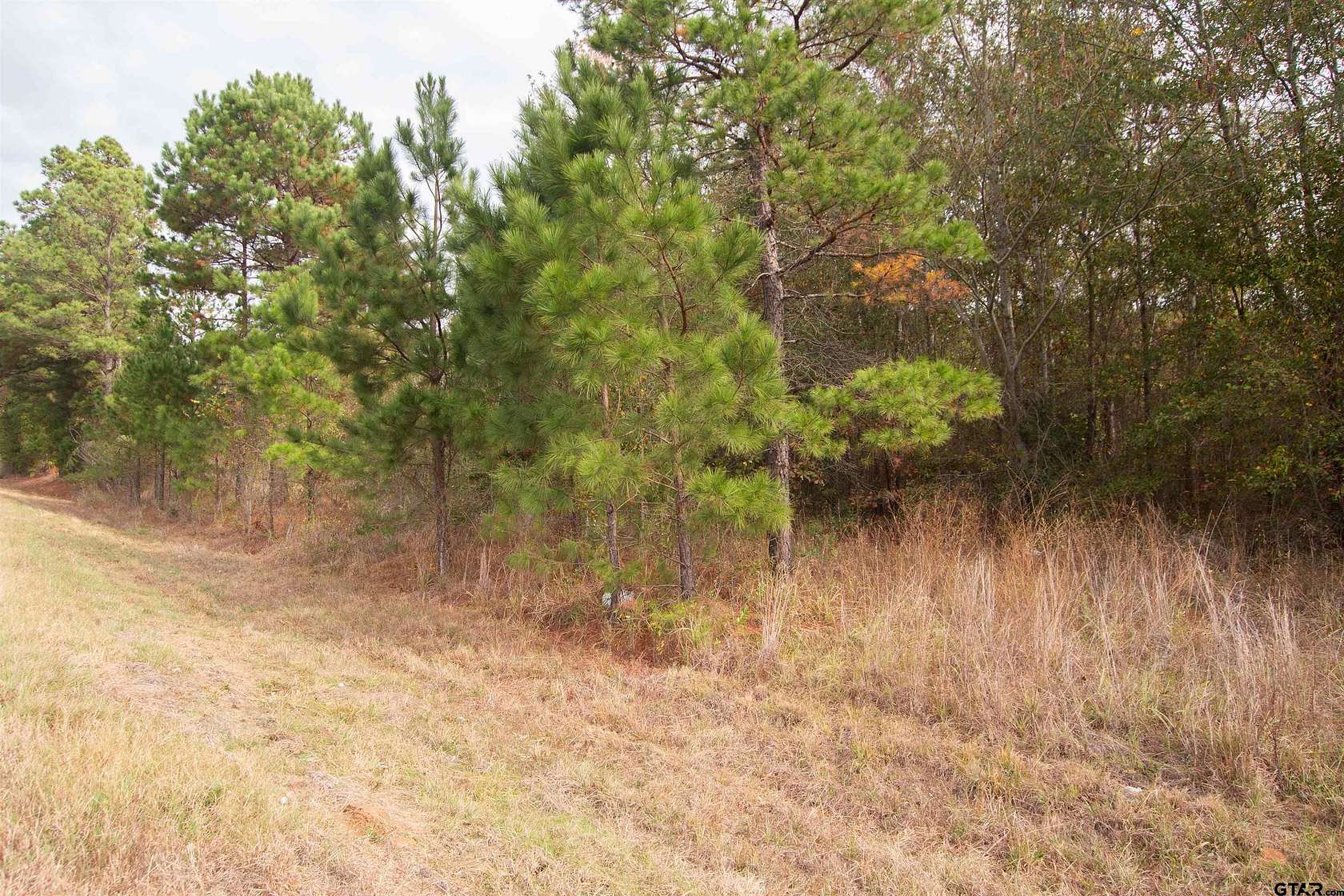 12 Acres of Recreational Land & Farm for Sale in Overton, Texas