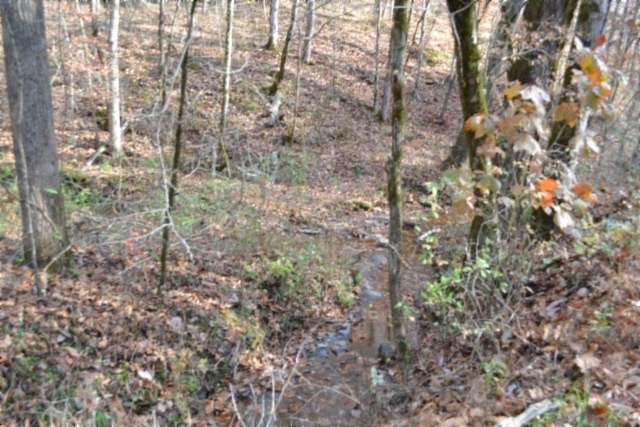 6.7 Acres of Residential Land for Sale in Celina, Tennessee