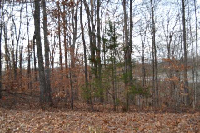 6.7 Acres of Residential Land for Sale in Celina, Tennessee