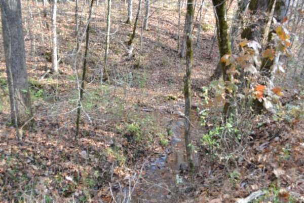 6.7 Acres of Residential Land for Sale in Celina, Tennessee