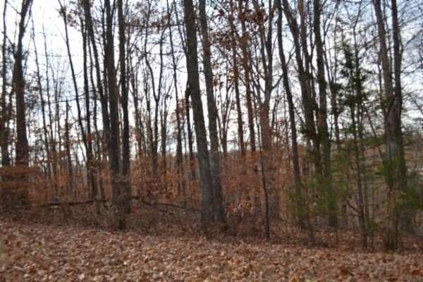 6.7 Acres of Residential Land for Sale in Celina, Tennessee