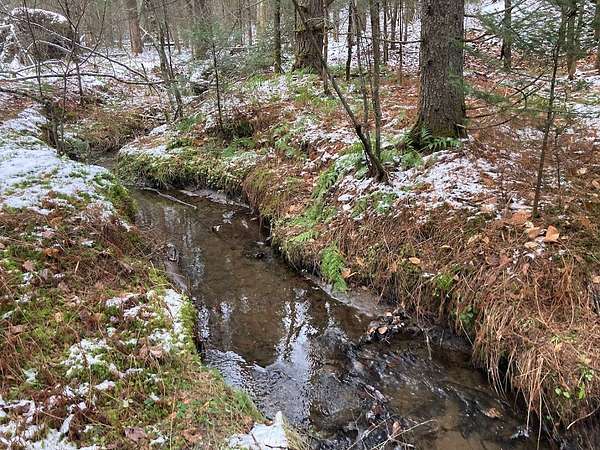 113 Acres of Recreational Land for Sale in Cold Brook, New York