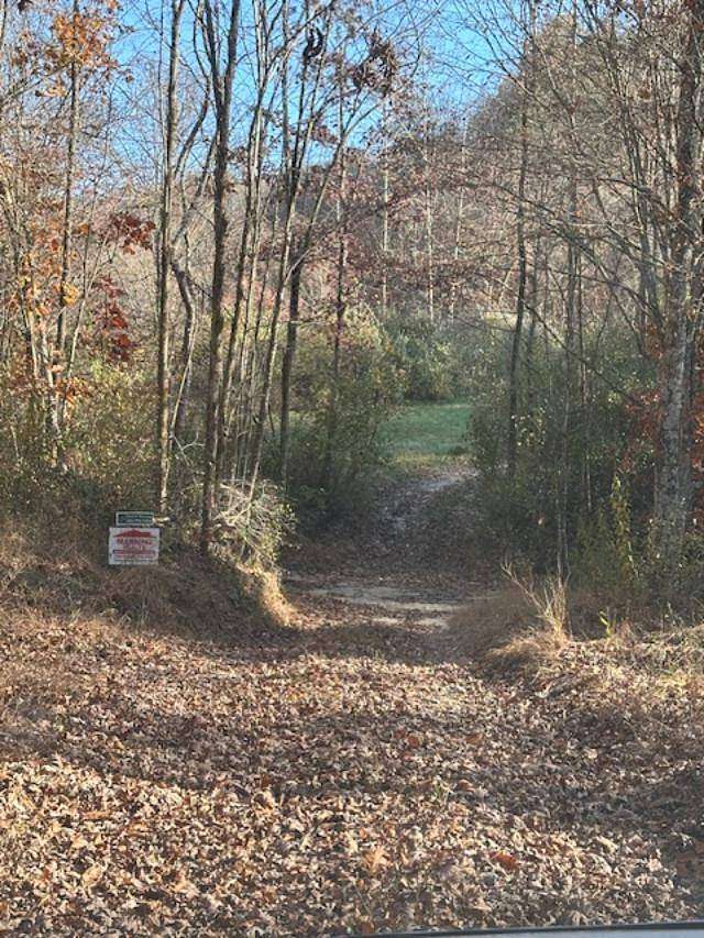 121 Acres of Recreational Land for Sale in Sandy Hook, Kentucky