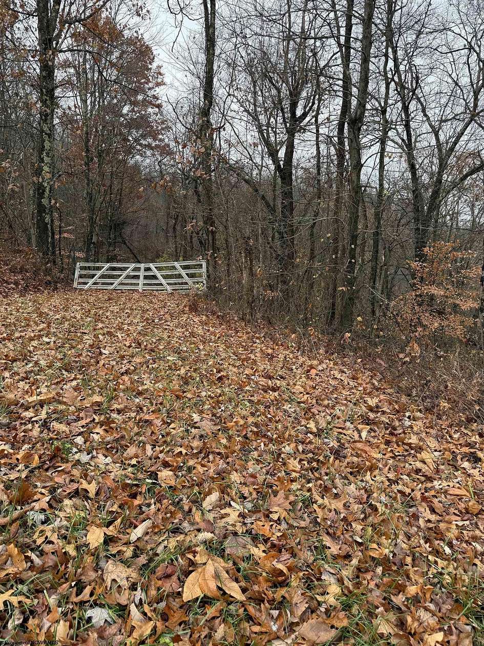 43.8 Acres of Land for Sale in Morgantown, West Virginia