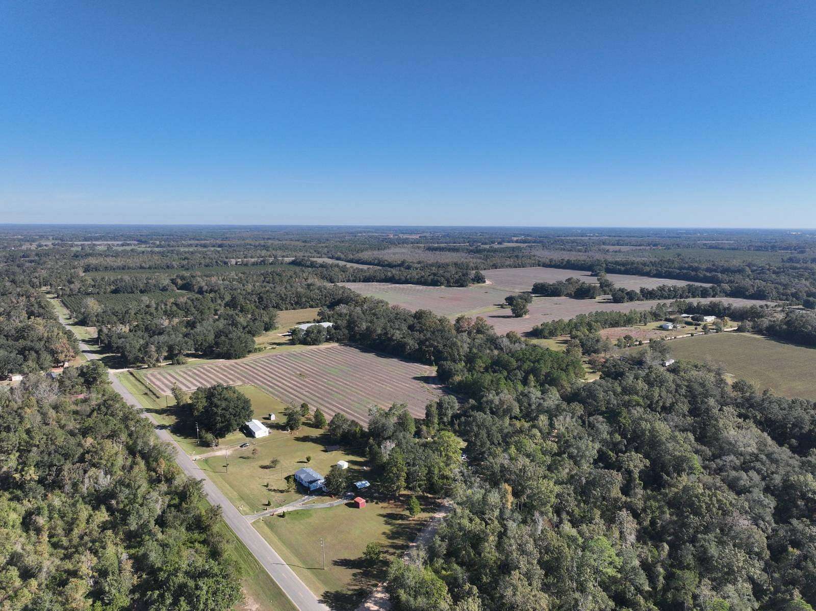 377 Acres of Recreational Land & Farm for Sale in Marianna, Florida