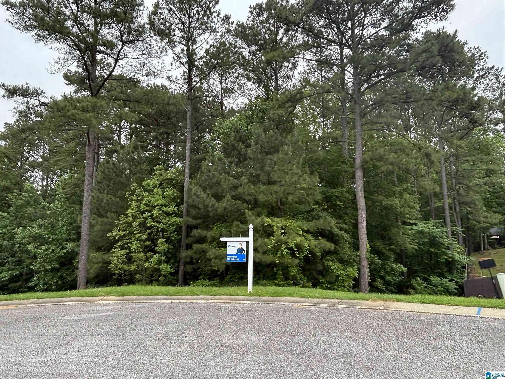 1 Acre of Residential Land for Sale in Chelsea, Alabama