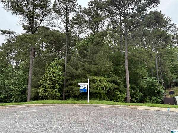 1 Acre of Residential Land for Sale in Chelsea, Alabama