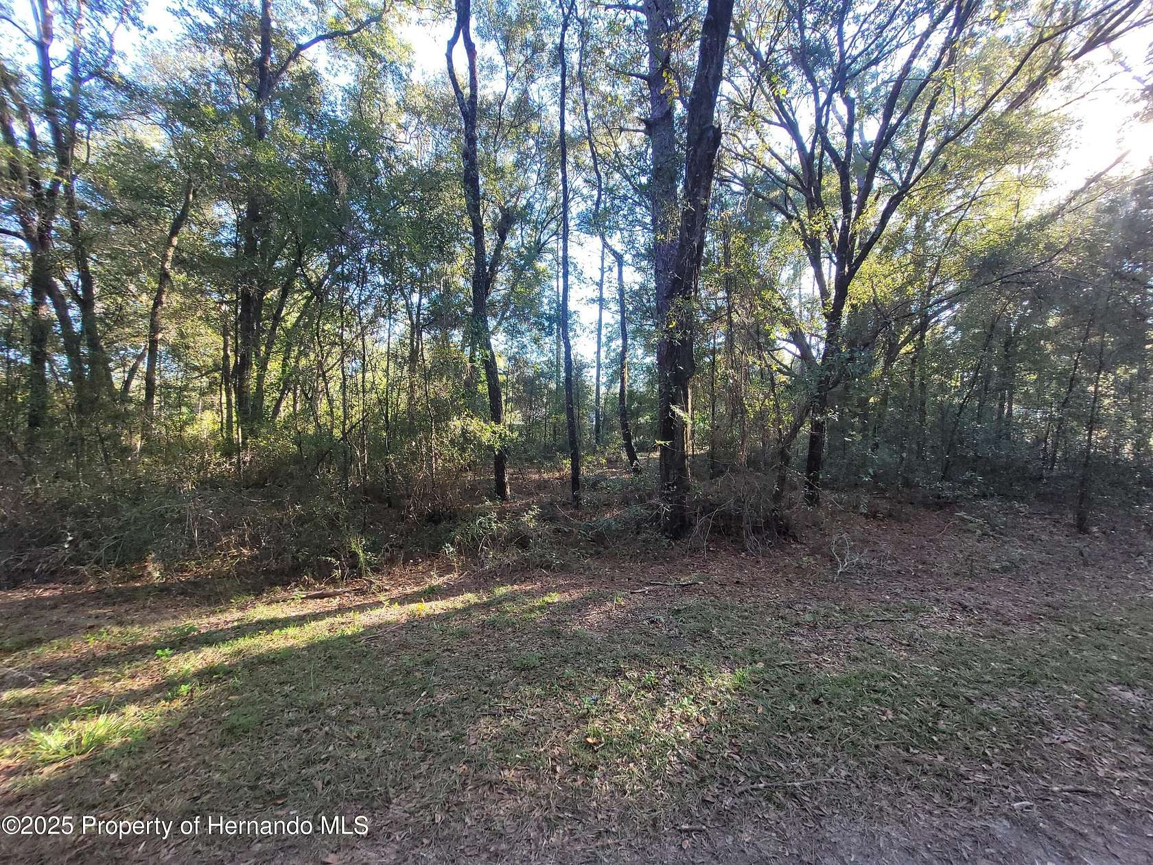 0.23 Acres of Residential Land for Sale in Ocala, Florida