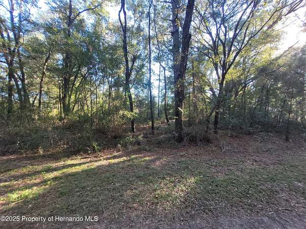 0.23 Acres of Residential Land for Sale in Ocala, Florida