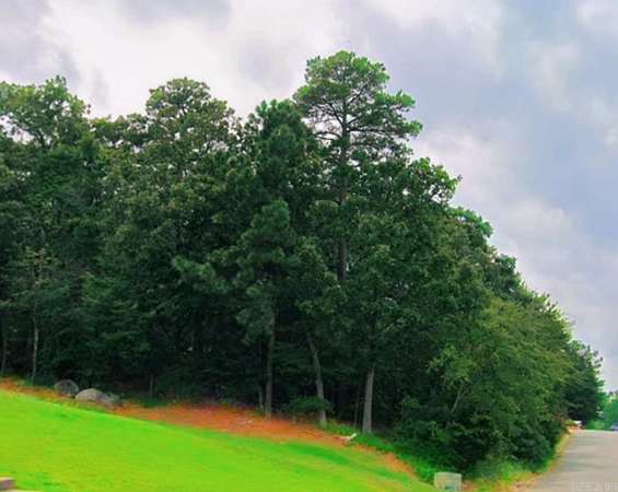 0.32 Acres of Residential Land for Sale in Maumelle, Arkansas
