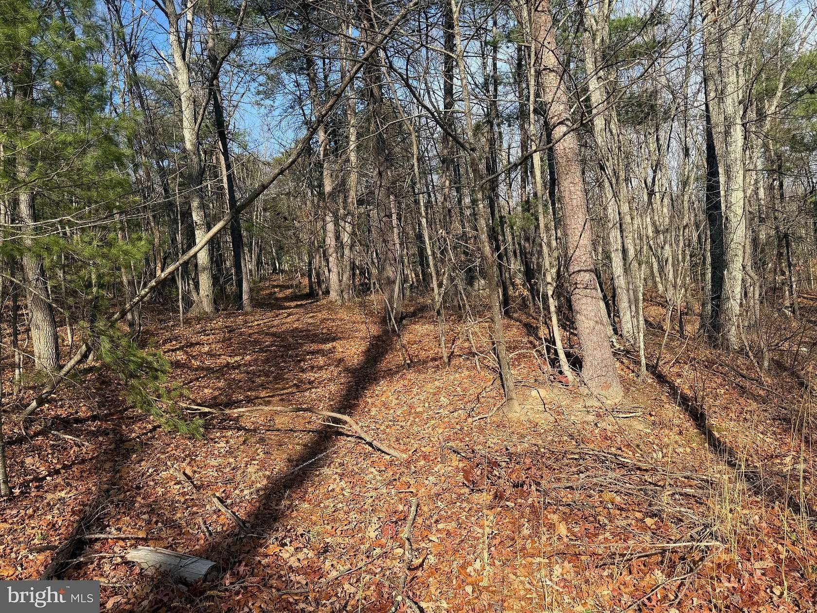 5.23 Acres of Residential Land for Sale in Capon Bridge, West Virginia