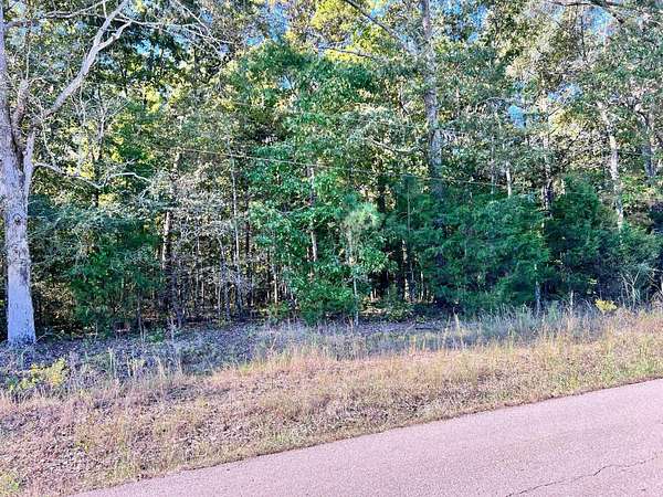 1.5 Acres of Land for Sale in Michie, Tennessee