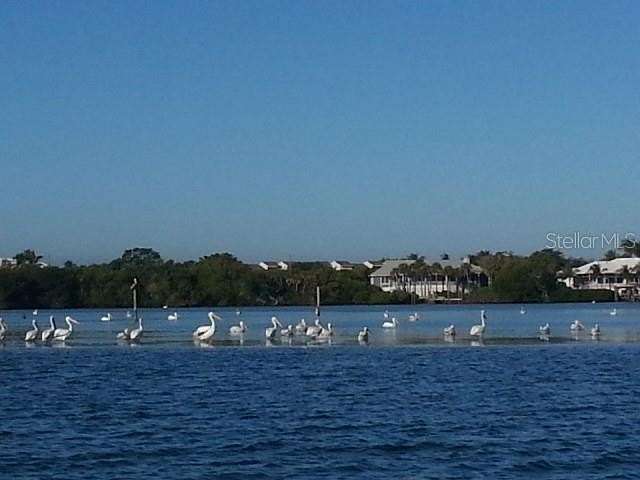 0.17 Acres of Land for Sale in Placida, Florida