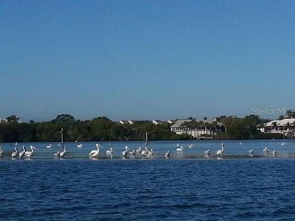 0.17 Acres of Land for Sale in Placida, Florida