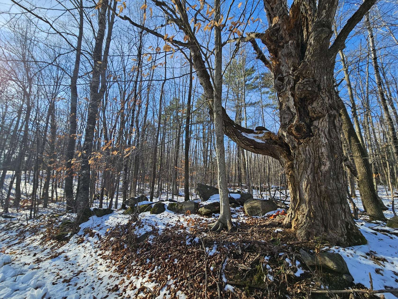 0.66 Acres of Residential Land for Sale in Farmington, Maine