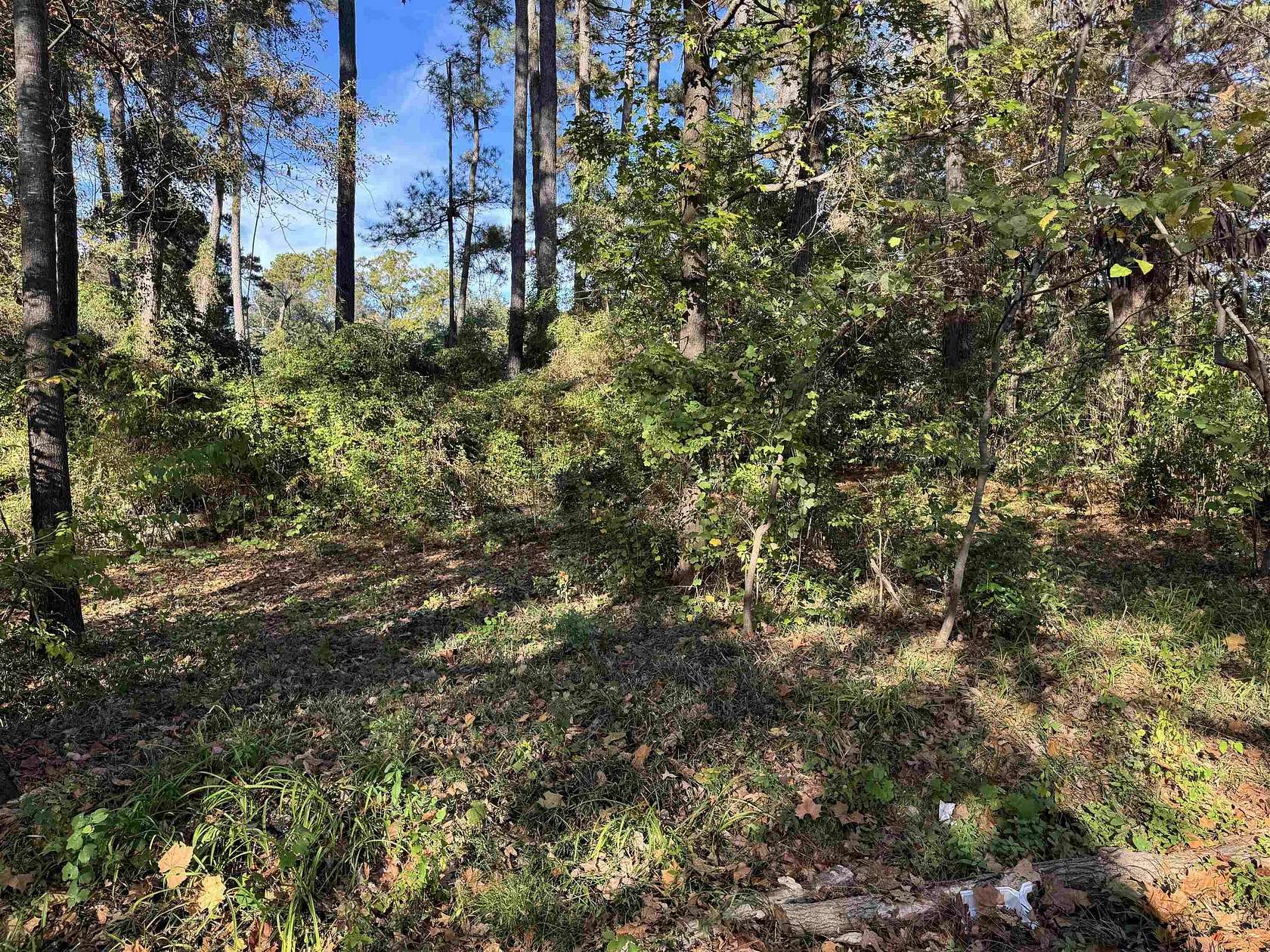 0.32 Acres of Residential Land for Sale in Longview, Texas